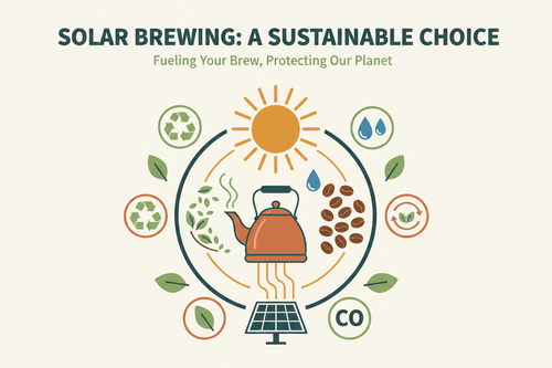 Educational Insights into Solar Brewing's Eco-Friendliness